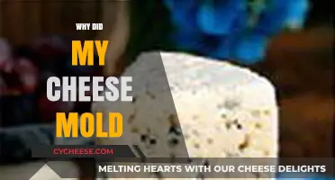 Why Did My Cheese Mold? Understanding Causes and Prevention Tips