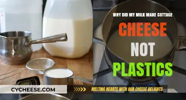 Why Milk Curdles into Cottage Cheese, Not Plastic: The Science Explained
