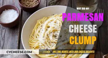 Understanding Clumpy Parmesan: The Science Behind It