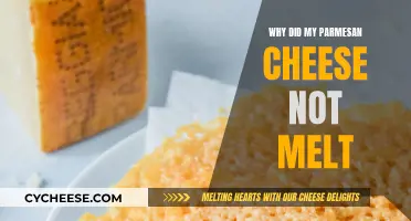 Parmesan Cheese Not Melting: What's the Deal?