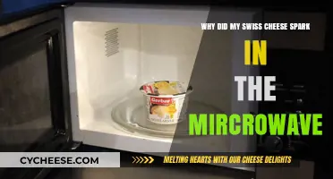 Swiss Cheese Sparks: Microwave Mystery Solved!