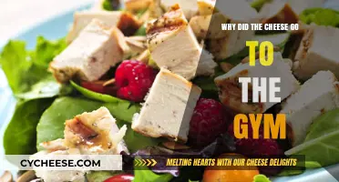 Why the Cheese Hit the Gym: A Whey Funny Fitness Tale