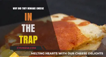 Revisiting Cheese in the Trap: Reasons Behind the Remake