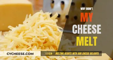 Cheese Not Melting? Try These Tips