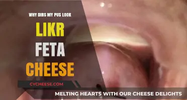 Pus and Feta Cheese: What's the Deal?