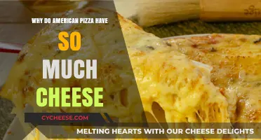Why American Pizzas Love Loads of Cheesy Goodness