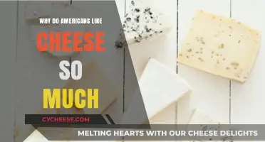 America's Cheese Obsession: Unraveling the Love for Cheesy Delights