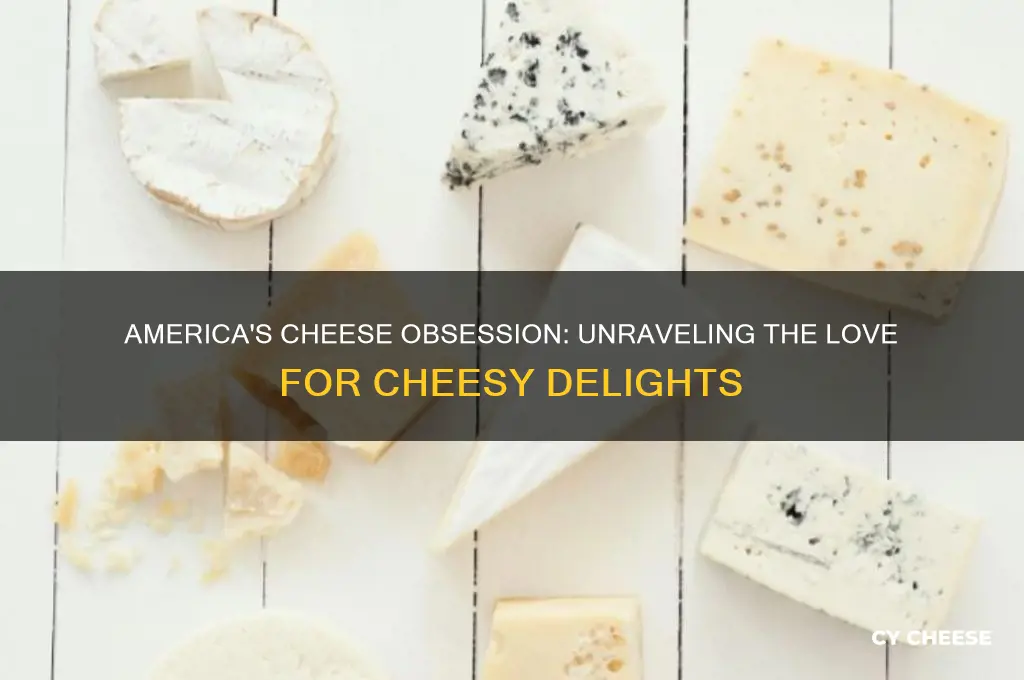 why do americans like cheese so much