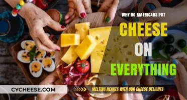 The American Cheese Obsession: Why It's Everywhere