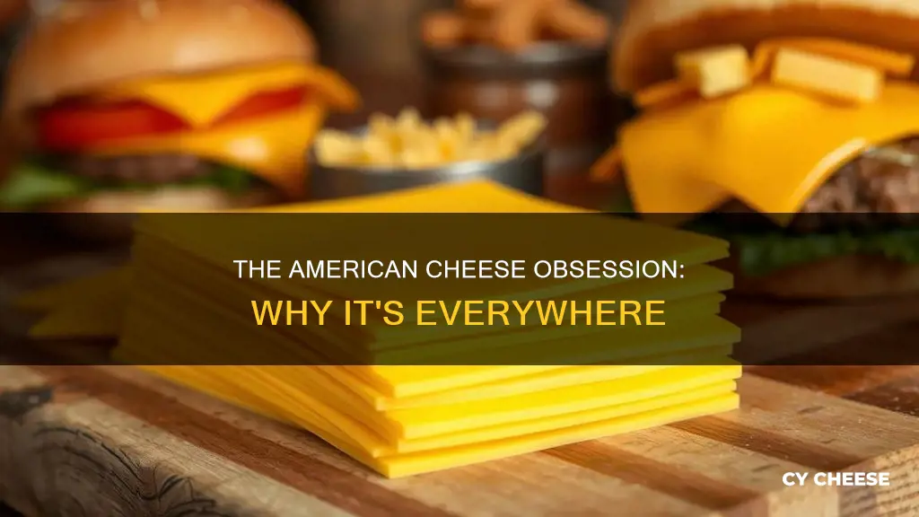 why do americans put cheese on everything