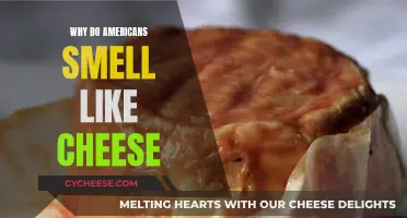The American Cheese Smell Mystery: Why?