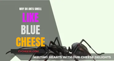 The Pungent Scent of Ants: A Blue Cheese Mystery