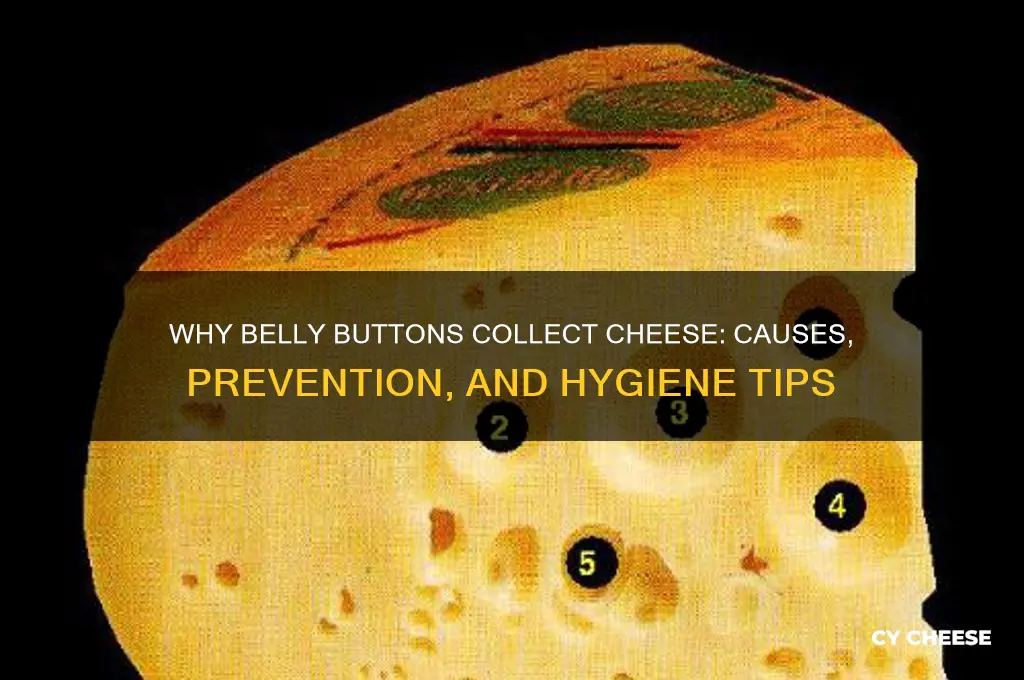 why do belly buttons cheese