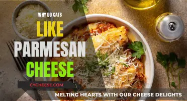 Cats' Love for Parmesan Cheese: Unraveling the Mystery