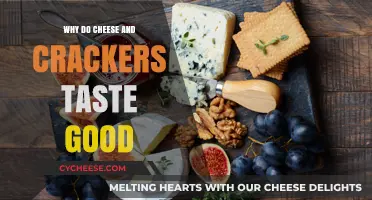 The Perfect Pairing: Why Cheese and Crackers Taste So Good Together