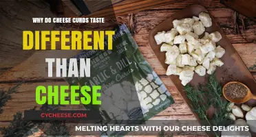 Why Cheese Curds Taste Different Than Cheese: Exploring the Flavor