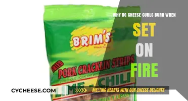 Flammable Snacks: Unraveling the Science Behind Burning Cheese Curls