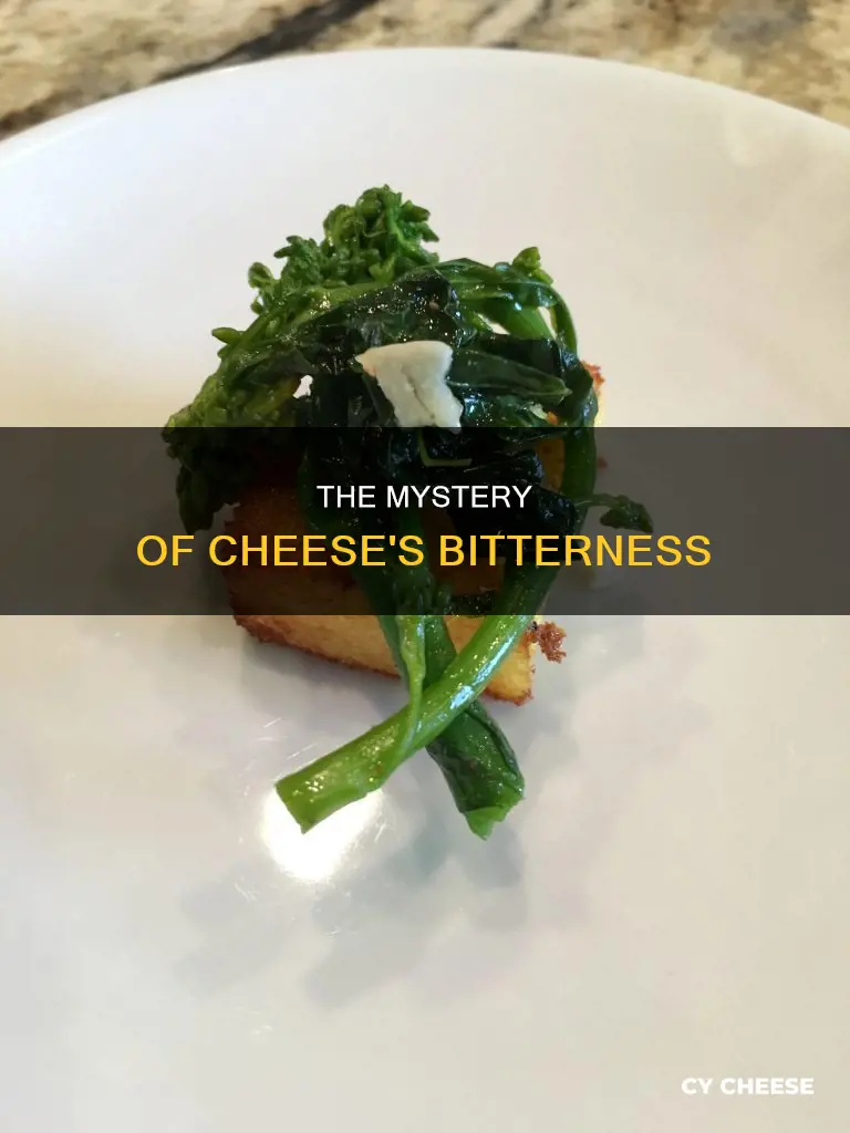 why do cheese get bitter