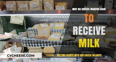 Why Cheese Makers Depend on Fresh Milk Supplies for Quality