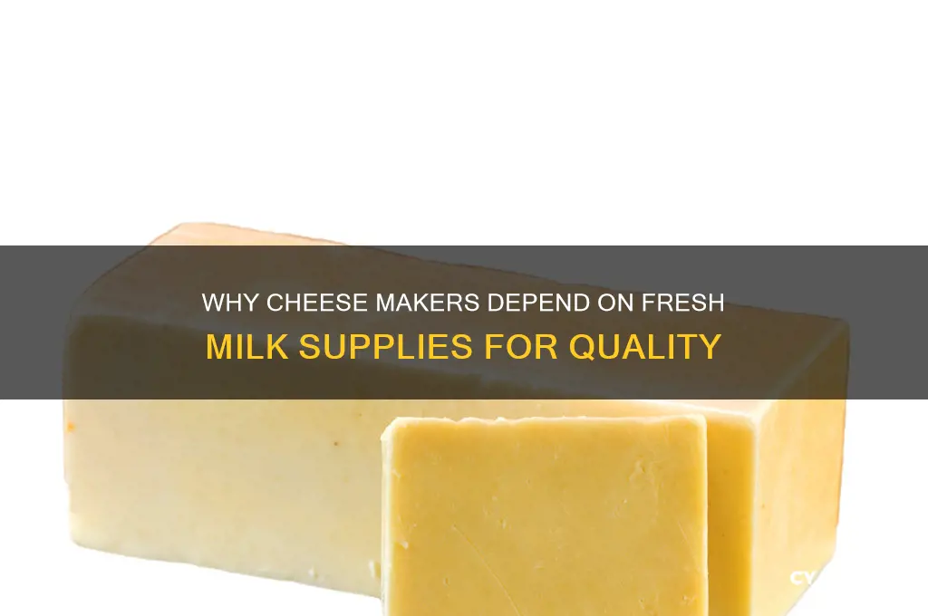 why do cheese makers have to receive milk