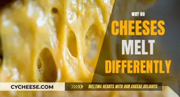 The Science of Melting Cheeses: Why Do They Act Differently?