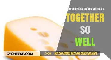 Chocolate and Cheese: The Surprising Science Behind Their Perfect Pairing
