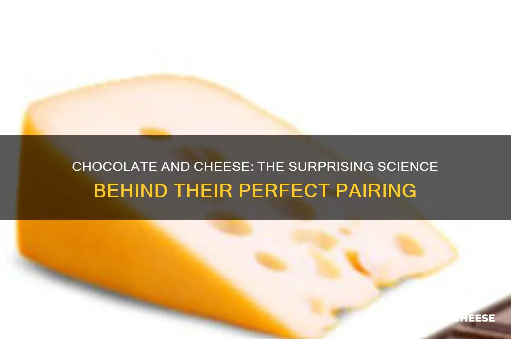 why do chocolate and cheese go together so well