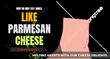The Science Behind Stinky Feet and Parmesan Cheese