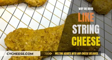 String Cheese: Why Dogs Go Crazy for This Treat