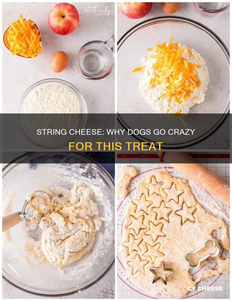 why do dogs like string cheese