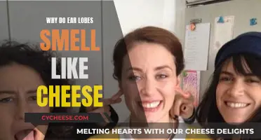 The Mystery of Cheesy Ear Lobes: Why the Smell?