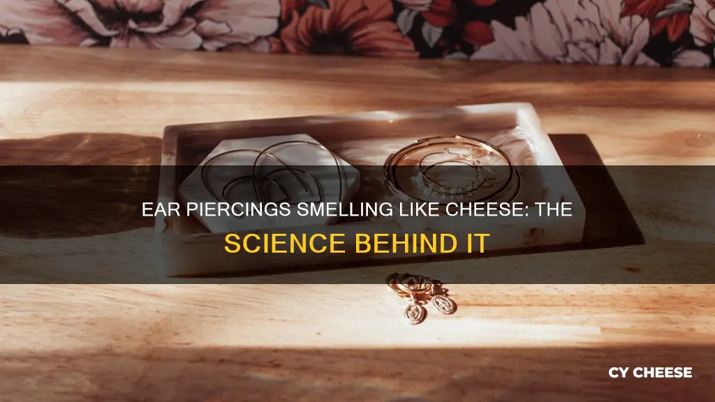 why do ear piercings smell like cheese