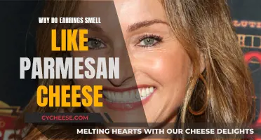 The Mystery of Cheesy Earrings: Parmesan Connection