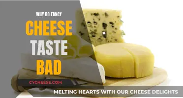 The Science Behind Why Fancy Cheeses Taste Bad