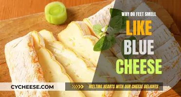 The Mystery of Blue Cheese Feet Odor