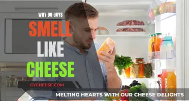 The Science Behind Male Body Odor and Cheese