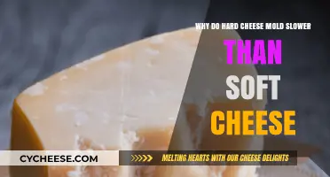 Hard vs. Soft Cheese: Understanding Mold Growth Rates and Differences