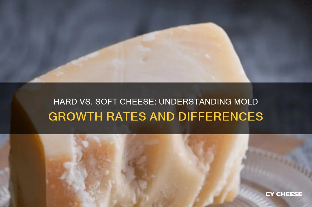 why do hard cheese mold slower than soft cheese