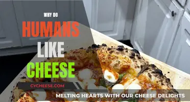 Cheese: A Universal Human Favorite, But Why?