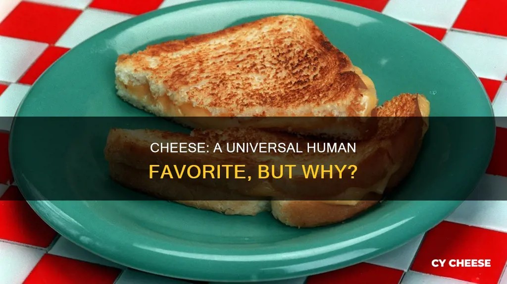 why do humans like cheese