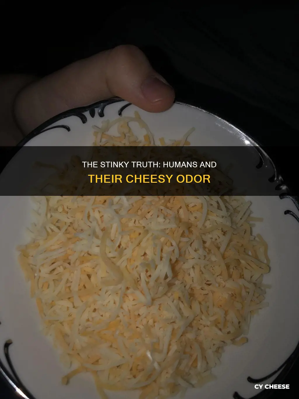 why do humans smell like cheese