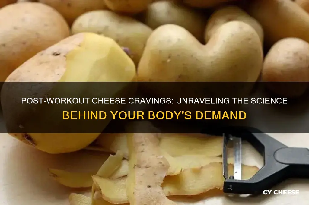why do i crave cheese after working out