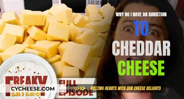 Unraveling the Cheddar Cheese Habit: Understanding the Allure