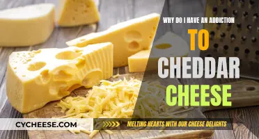 Cheddar Cheese: My Unlikely Addiction Explained