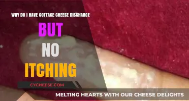 Understanding Cottage Cheese Discharge Without Itching: Causes and Concerns