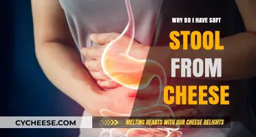 Cheese and Soft Stools: Understanding the Digestive Connection