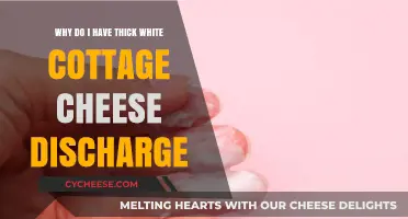 Understanding Thick White Cottage Cheese-Like Discharge: Causes and Concerns