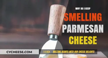 The Parmesan Cheese Smell Mystery: Why?