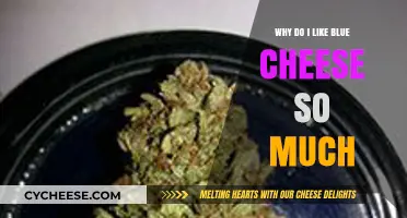 The Irresistible Charm of Blue Cheese: Why I'm Hooked