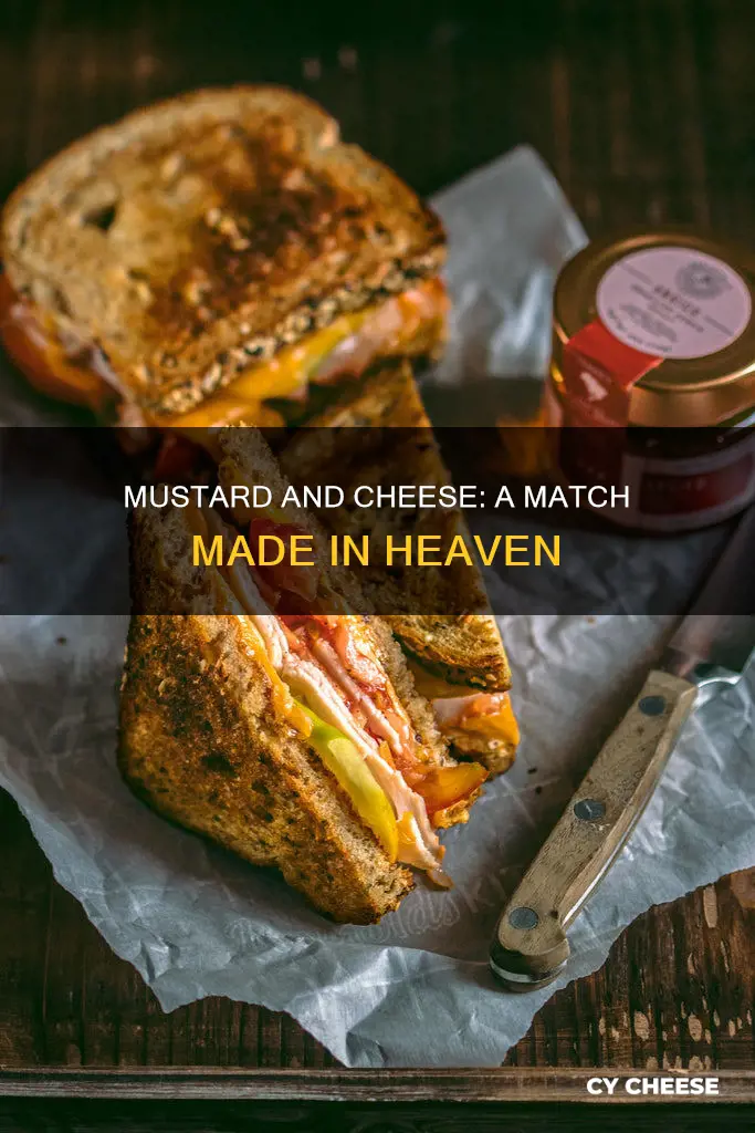 why do i like cheese in mustard